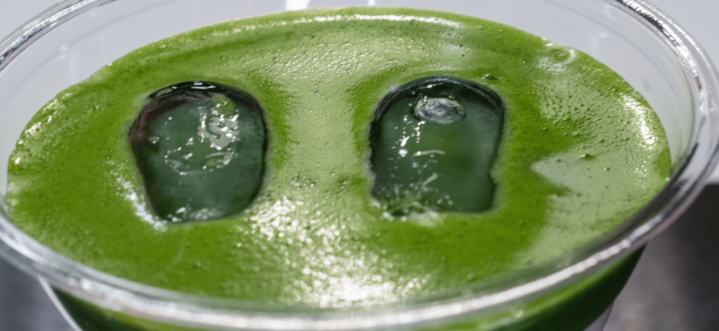 Matcha * Ōkina Hebi 50G